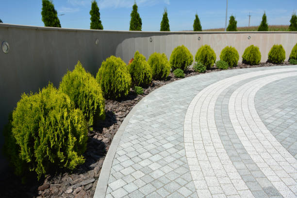 Best Best Driveway Pavers  in Westernport, MD